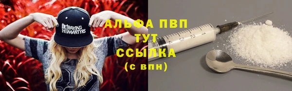 винт Абаза