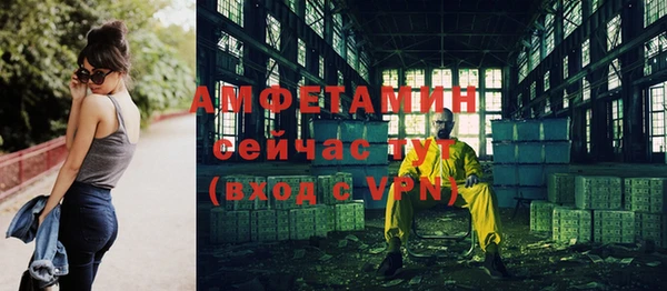 винт Абаза