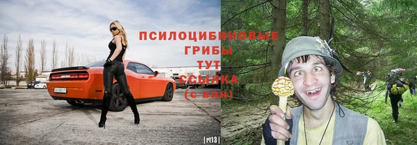 винт Абаза