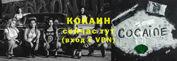 винт Абаза