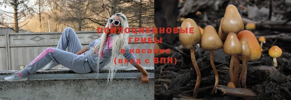 амф Абинск