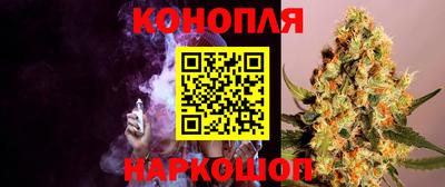 молекула духа Краснознаменск