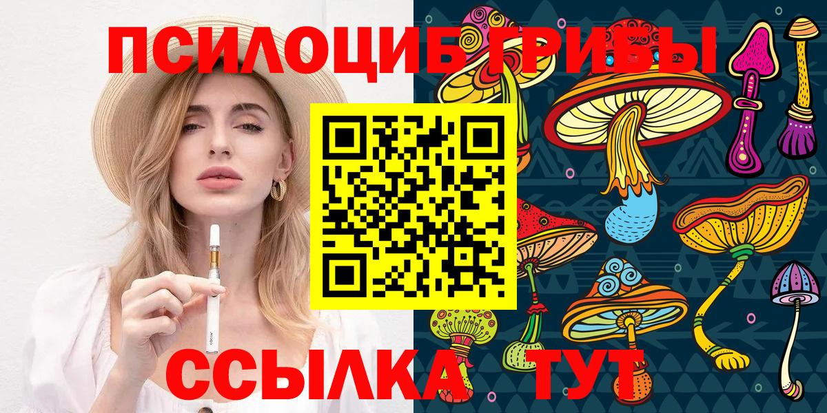 Каменск-Шахтинский  Галлюциногенные грибы мицелий  Вход с VPN 