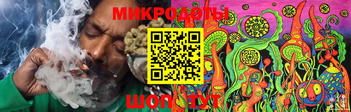 Псилоцибиновые грибы Psilocybe Каменск-Шахтинский
