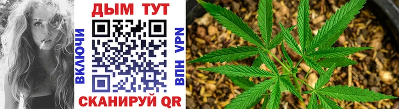 где найти   Каменск-Шахтинский  Каннабис SATIVA & INDICA 